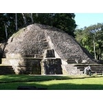 Mayan Temple at Caracol. Photo by Chris Sharpe. All rights reserved.