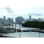Miami Skyline. Photo by Rick Taylor. Copyright Borderland Tours. All rights reserved.  