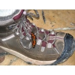 Butterfly on Birder's Boot. Photo by Rick Taylor. Copyright Borderland Tours. All rights reserved.