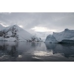 Neko Harbor, Antarctica. Photo by Adam Riley. All rights reserved.