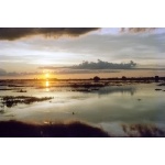 Ibera Marshes. Photo by Luis Segura. All rights reserved.