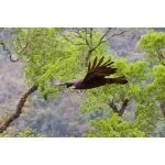 Bhutan Photo Gallery