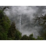 Waterfall in the mist. Photo by Rick Taylor. Copyright Borderland Tours. All rights reserved.