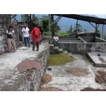 Coffee-drying platform at Union Juarez. Photo by Rick Taylor. All rights reserved.