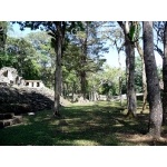 Great Plaza, Yaxchilan. Photo by Rick Taylor. Copyright Borderland Tours. All rights reserved.