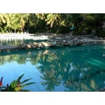 Our hotel swimming pool at Palenque. Photo by Rick Taylor. Copyright Borderland Tours. All rights reserved.