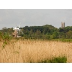 Cley Windmill. Photo by Andy MacKay. All rights reserved.