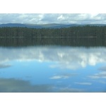 Loch Garten. Cairngorm Mountains. Photo by Rick Taylor. Copyright Borderland Tours. All rights reserved. 