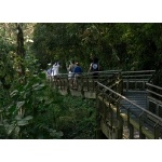 Waterfall Trail at Iguazu. Photo by Rick Taylor. Copyright Borderland Tours. All rights reserved.