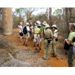 Borderland visits the Spiny Desert. Photo by Rick Taylor. Copyright Borderland Tours. All rights reserved.