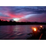Kinubatangan River. Photo by Adam Riley. All rights reserved.
