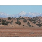 Vista of Atlas Mountains. Photo by Dave Hoddinott. All rights reserved.