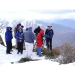 Looking at the Alpine Accentor. Photo by Rick Taylor. Copyright Borderland Tours. All rights reserved. 