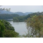 Rio Papaloapan near Tuxtepec. Photo by Rick Taylor. Copyright Borderland Tours. All rights reserved.