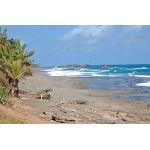 Puerto Rican Beach. Photo by Julio Salgado. Copyright Julio Salgado. All rights reserved. 