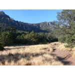Boulder Meadow, Chisos Mountains. Photo by Rick Taylor. Copyright Borderland Tours. All rights reserved.
