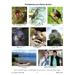 2015 Borderland Tours Newsletter page 7