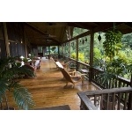 Birding from the Pico Bonito porch. Photo by James Adams, copyright The Lodge at Pico Bonito. All rights reserved.