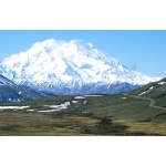 Mt. McKinley in June Denali National Park Photo by Rick Taylor. Copyright Borderland Tours. All rights reserved.