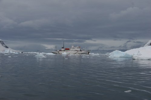 Boat in neko harbor antarctica. Photo by Adam Riley. All rights reserved.