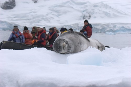 Leopard seal and zodiac. Photo by Adam Riley. All rights reserved.
