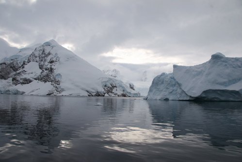 Neko harbor antarctica. Photo by Adam Riley. All rights reserved.