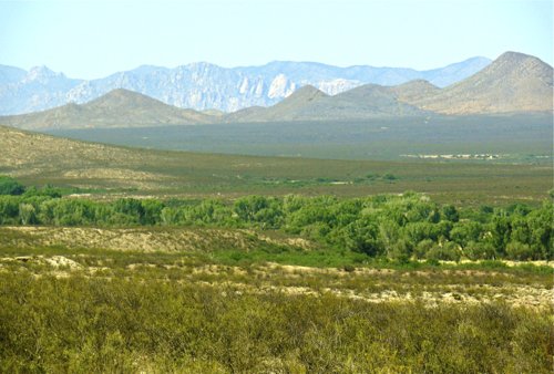 San pedro river. Photo by Rick Taylor. Copyright Borderland Tours. All rights reserved. 