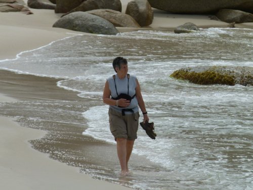 Birding on the edge. Photo by Larry Sassaman. All rights reserved. 201