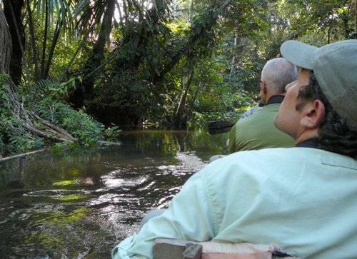 Birding the cari anangu yacu channel. Photo by Dave Semler and Marsha Steffen. All rights reserved.
