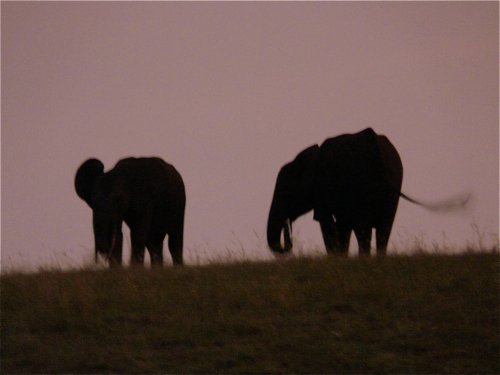 Gabon night life. Photo by Mike West. All rights reserved.