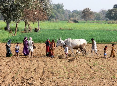 Family planting field. Photo by Rick Taylor. Copyright Borderland Tours. All rights reserved.
