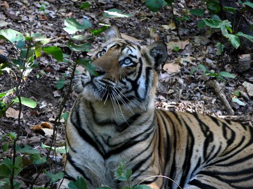 Musing about life. Photo by Rick Taylor. Copyright Borderland Tours. All rights reserved.