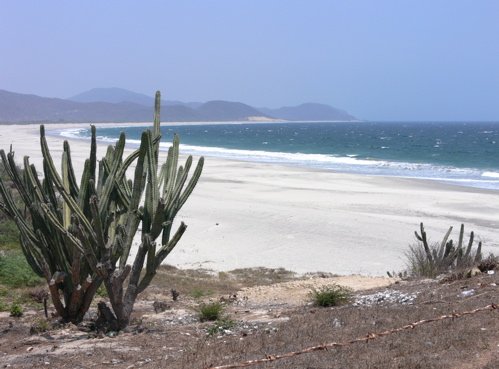 Pacific coast beach. Photo by Rick Taylor. Copyright Borderland Tours. All rights reserved.