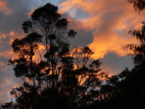 Sunrise at ambua lodge. Photo by Rick Taylor. Copyright Borderland Tours. All rights reserved.