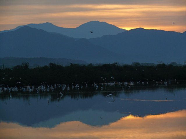 Sunrise over mangrove lagoons san blas. Photo by Rick Taylor. Copyright Borderland Tours. All rights reserved.