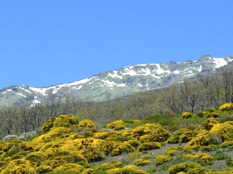 The pyrenees. Photo by Alan Miller. All rights reserved. 