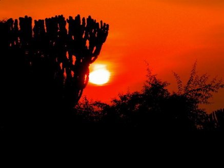 Uganda sunset. Photo by Adam Riley. All rights reserved.