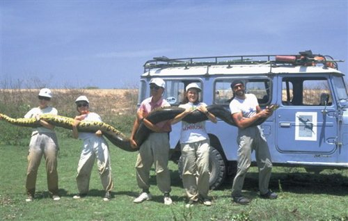 Anaconda research team at hato cedral. Photo by Chris Sharpe. All rights reserved.